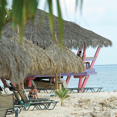 Divi Dutch Village Beach Resort Palm Beach Ngoại thất bức ảnh