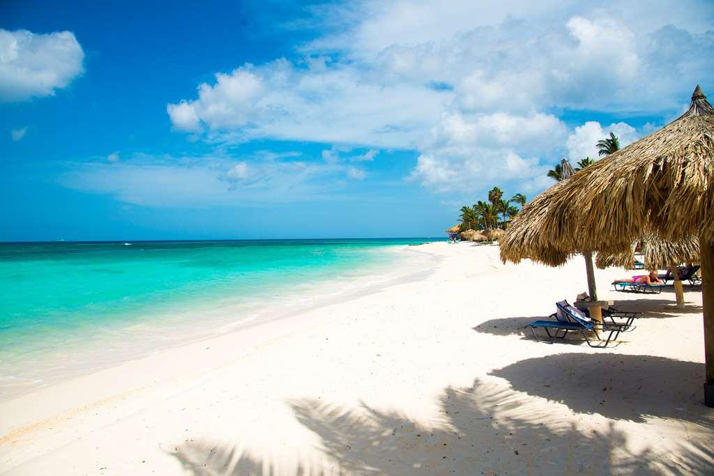 Divi Dutch Village Beach Resort Palm Beach Thiên nhiên bức ảnh