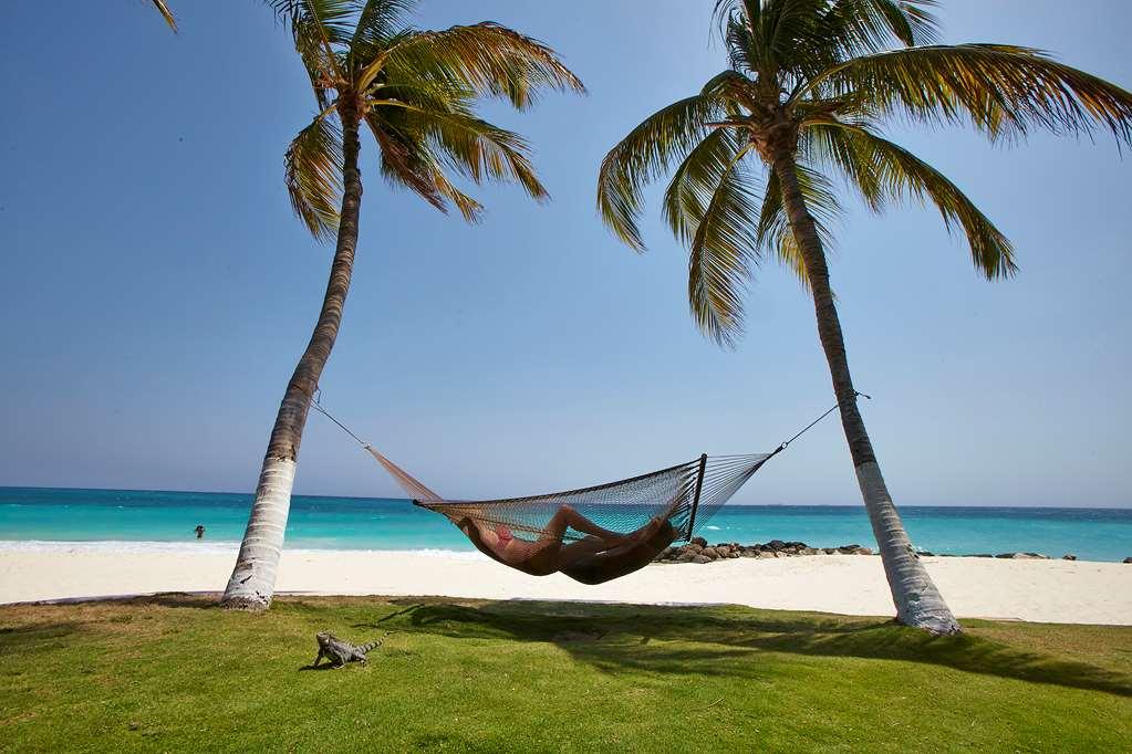 Divi Dutch Village Beach Resort Palm Beach Thiên nhiên bức ảnh